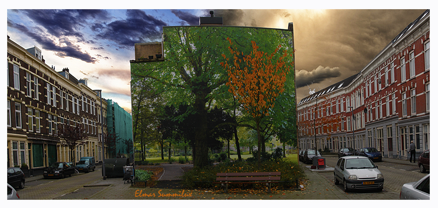 "Season Of Transition" | digital image file |