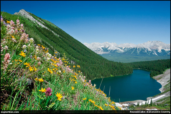 How to get everything in focus for nature images using zone focusing.