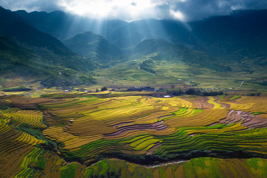 A showcase nature image featuring a vast area of green farm land on shadowy foreground  and beautiful ridges of a montain well lit by the sun in the background.